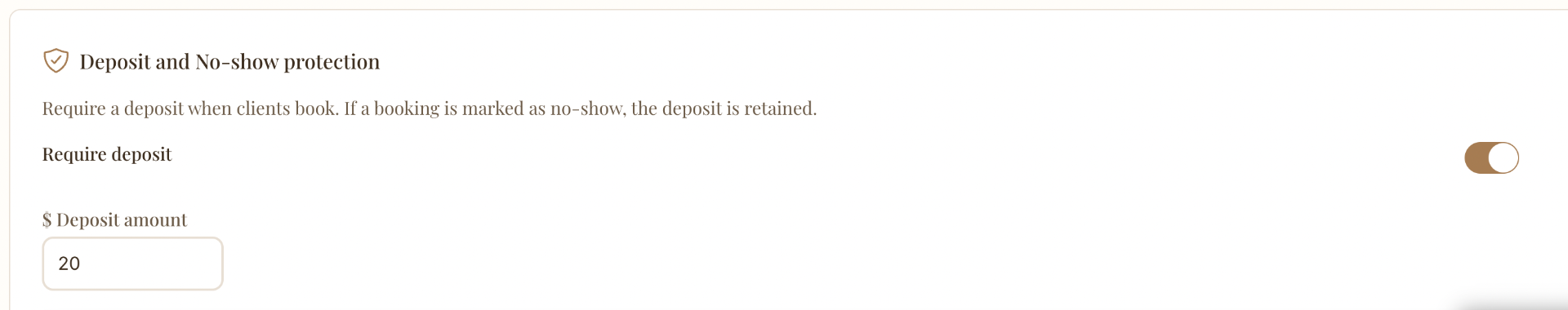 Deposit and no-show protection settings powered by Stripe